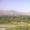 Kohat