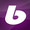 ballguide