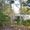 Fig Tree Pocket, Queensland