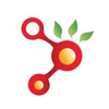 Ainume