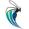 BumBee Designs 
