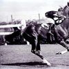Phar Lap