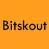Bitskout
