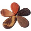 NeuroWood