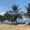 Kribi
