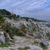 Cavaillon