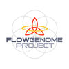 Flow Genome Project