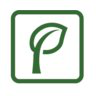 Phytoponics