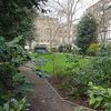 Montagu Square