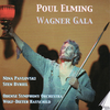 Poul Elming