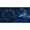 Codified Security 