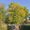 Berlin-Dahlem Botanical Garden and Botanical Museum