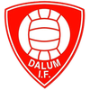 Dalum IF