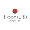 IT Consultis
