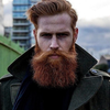 Nikolai Dorokhov profile picture